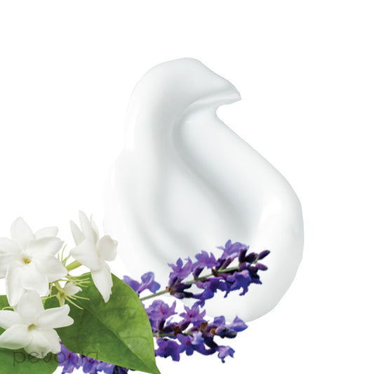 Jasmine & Lavender Body Moisturizer