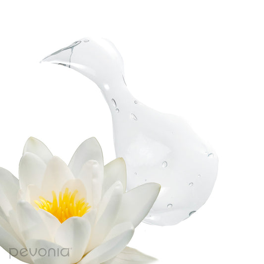 After-Sun Soothing Gel