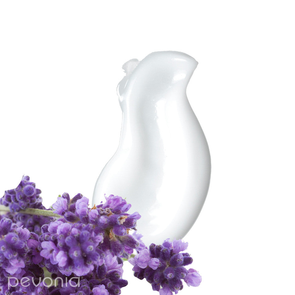 Collagen Boost Face Balm