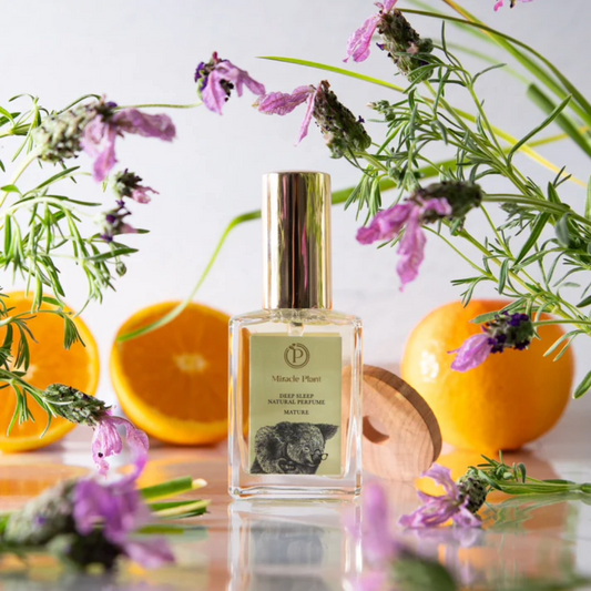 Deep Sleep Natural Perfume - For Mature