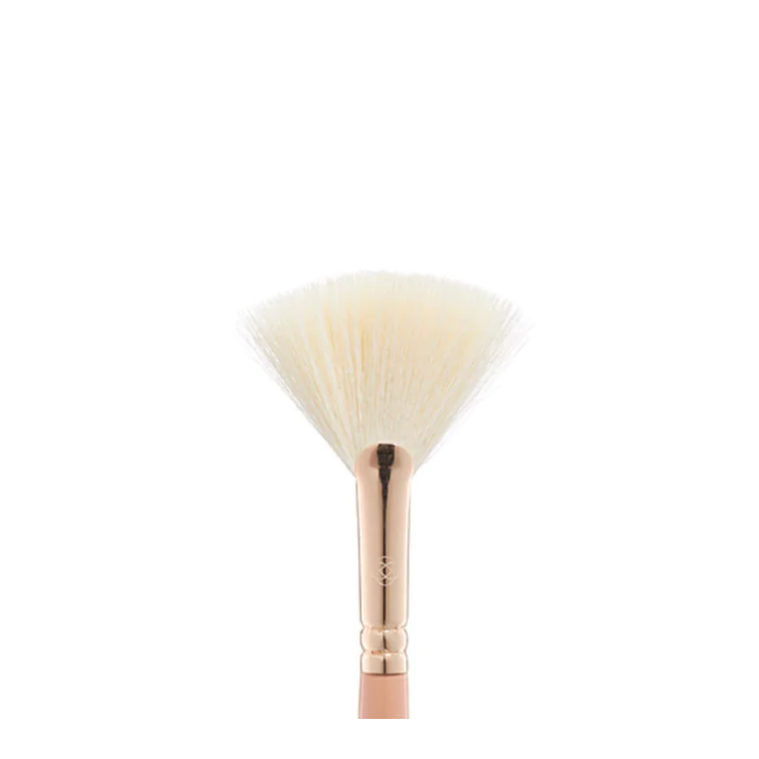 Fan Brush